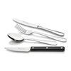 Albany 60 Piece Set with Steak Knives